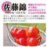【予約販売限定】秋鈴堂「佐藤錦（約500g/バラ詰め）」(露地栽培)【2025年6月中旬～6月下旬発送予定】　山形県寒河江産　さくらんぼ　L玉バラ詰め　6月中旬〜6月下旬発送　産地直送　お中元　ギフト　一部送料無料