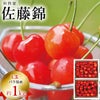 【予約販売限定】秋鈴堂「佐藤錦（約1kg/バラ詰め）」(露地栽培)　【2025年6月中旬～6月下旬発送予定】　山形県寒河江産　さくらんぼ　L玉バラ詰め　6月中旬〜6月下旬発送　産地直送　お中元　ギフト　一部送料無料