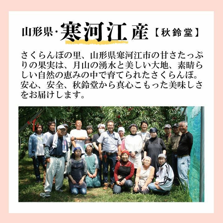 【予約販売限定】秋鈴堂「紅秀峰（720g/バラ詰め）」(露地栽培)　【2025年7月上旬～発送予定】　山形県寒河江産　さくらんぼ　L~2L玉バラ詰め　7月上旬発送　産地直送　お中元　ギフト　一部送料無料