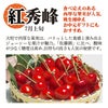 【予約販売限定】秋鈴堂「佐藤錦（720g/バラ詰め）」(露地栽培)【2025年6月中旬～6月下旬発送予定】　山形県寒河江産　さくらんぼ　LM混　6月中旬～6月下旬発送　産地直送　お中元　ギフト　一部送料無料
