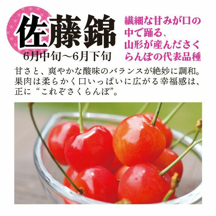 【予約販売限定】秋鈴堂「佐藤錦（360g/バラ詰め）」(露地栽培)【2025年6月中旬～6月下旬発送予定】　山形県寒河江産　さくらんぼ　LM混　6月中旬～6月下旬発送　産地直送　お中元　ギフト　一部送料無料