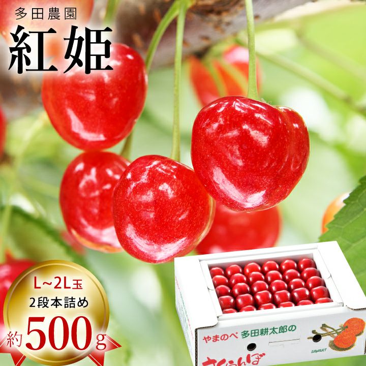 2026予約販売開始】多田農園「紅姫（約500g/本詰め）」(露地栽培) 【7
