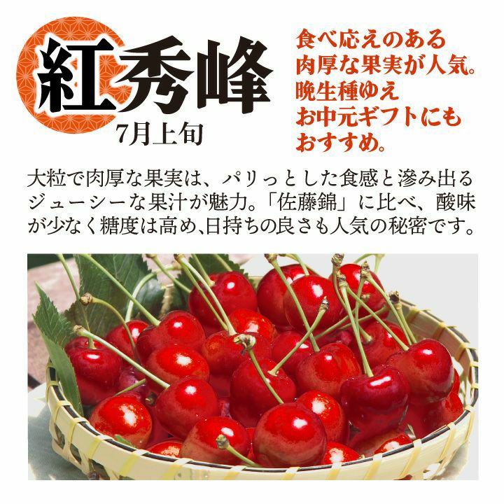 【予約販売限定】多田農園「紅姫（約500g/本詰め）」(露地栽培)　【2025年7月上旬～発送予定】　山形県山辺産　さくらんぼ　L~2L玉本詰め　7月上旬発送　産地直送　お中元　ギフト　一部送料無料