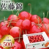 【予約販売限定】多田農園「佐藤錦（500g/バラ詰め）」(露地栽培)　【2025年6月中旬～6月下旬発送予定】　山形県山辺産　さくらんぼ　L玉バラ詰め　6月中旬～6月下旬発送　産地直送　お中元　ギフト　一部送料無料