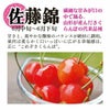 【予約販売限定】多田農園「佐藤錦（500g/バラ詰め）」(露地栽培)　【2025年6月中旬～6月下旬発送予定】　山形県山辺産　さくらんぼ　L玉バラ詰め　6月中旬～6月下旬発送　産地直送　お中元　ギフト　一部送料無料