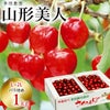 【予約販売限定】多田農園「山形美人（1kg/バラ詰め）」(露地栽培)　【2025年5月中旬～発送予定】　山形県山辺産　さくらんぼ　L～2L玉バラ詰め　5月中旬発送　産地直送　お中元　ギフト　一部送料無料