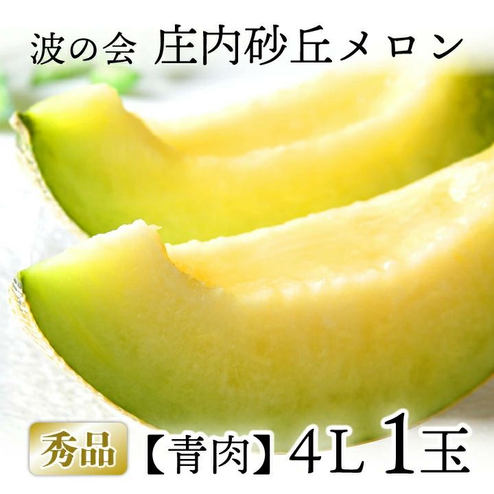 2025年販売開始】波の会 庄内砂丘メロン【青肉/秀品4L以上・1玉】 山形