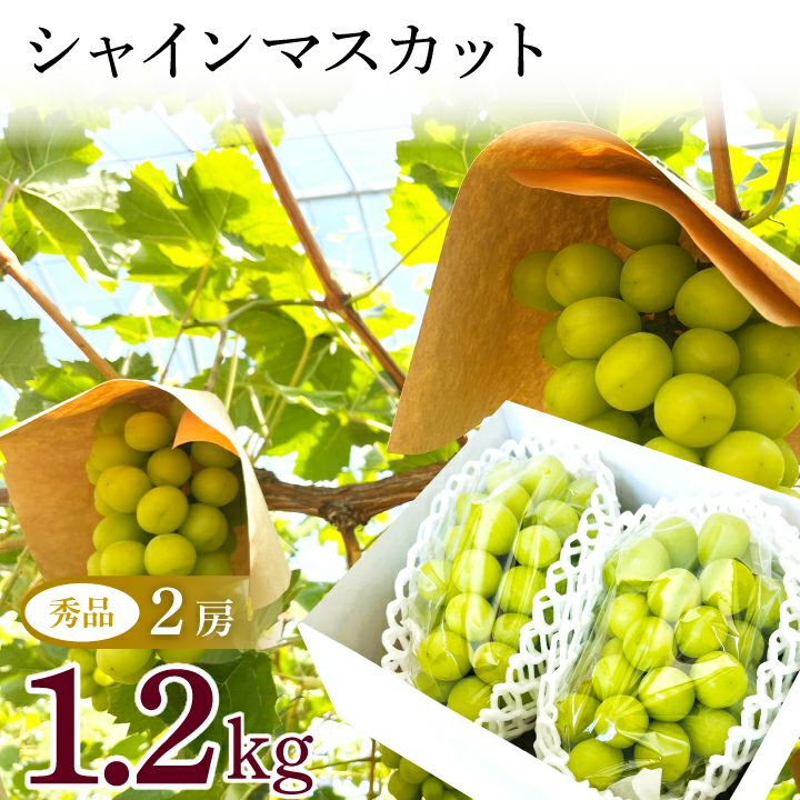 2026年予約販売開始】おとらふ「シャインマスカット（秀品/1房 600g