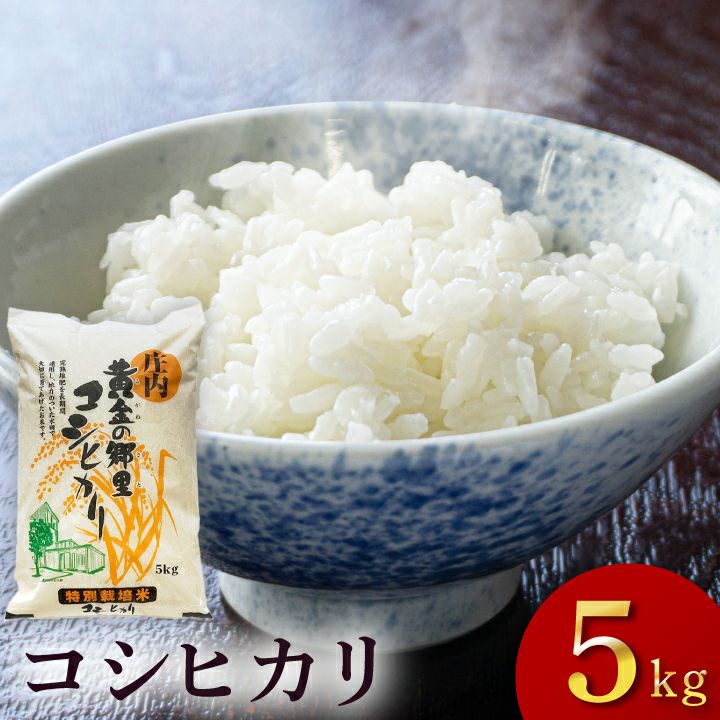令和7年度産「山形県産 コシヒカリ」特別栽培米 庄内平野 白米 精米